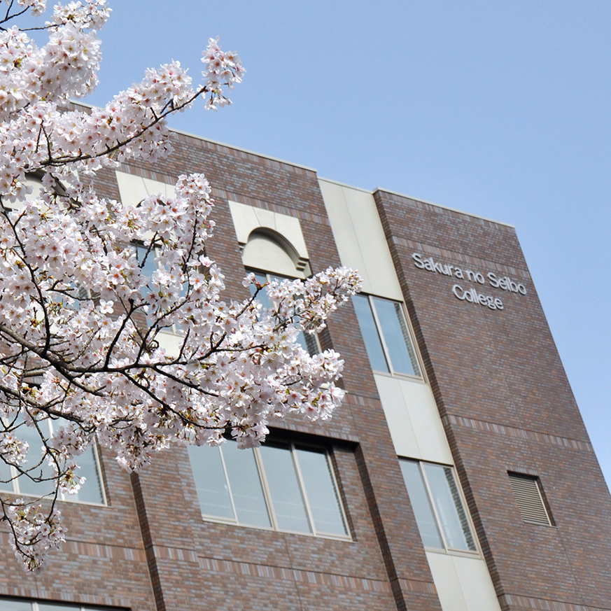 桜の聖母短大